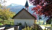 Tocht Te voet Immenstadt im Allgäu - Großer Alpsee Rundwanderweg - Photo 7