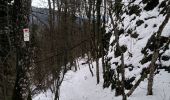Trail Snowshoes Soultz-Haut-Rhin - Raquettes au Molkenrain - Photo 1