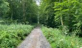 Randonnée Marche Oigny-en-Valois - en forêt de Retz_86_les Laies de la Poudrerie et de la Fosse aux Demoiselles - Photo 15