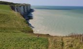 Trail Walking Ault - Sommes 21 : falaises Ault - Mets-les-Bains - Photo 2