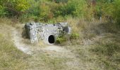 Tour Wandern Guiry-en-Vexin - guiry en wexin - Photo 3