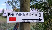 Randonnée Marche Olne - Balade des grès de Vaux   - Photo 3