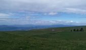 Trail Walking Leschaux - petit tour de Semnoz piste - Photo 1