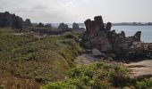 Tour Wandern Plougrescant - Le gouffre, la pointe du château à Plougrescant - Photo 12