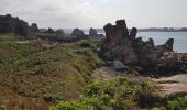 Excursión Senderismo Plougrescant - Le gouffre, la pointe du château à Plougrescant - Photo 12