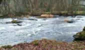 Tocht Stappen La Roche-en-Ardenne - Maboge  - Photo 17