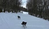 Trail Walking Stosswihr - La Schlucht Le Hohneck Le lac de La Lande Le Collet - Photo 12