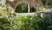 Trail Walking Saint-Pierre-des-Tripiers - Jonte Corniches du Mejean - Photo 3