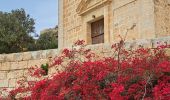Tour Wandern Ħad-Dingli - MALTE 2024 / 01 Dingly's Cliffs - Photo 10