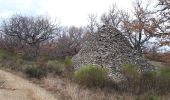 Tour Wandern Mane - 191218chateauneuf - Photo 2