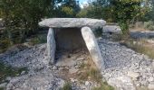 Trail Walking Labeaume - Labeaume dolmens - Photo 8