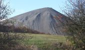 Tour Zu Fuß Sangerhausen - Wildrosenpfad - Photo 8