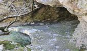 Trail Walking Plan-d'Aups-Sainte-Baume - Plan d'Aups-Sainte Baume - Photo 4