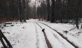 Tocht Stappen Paliseul - devant le pré  - Photo 4