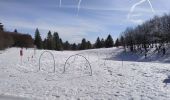 Trail Cross-country skiing Xonrupt-Longemer - sortie ski de fond les 3 fourgs 23022019 - Photo 2