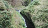 Tocht Stappen Saint-Denis - Cascade Chaudron  - Photo 8