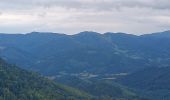 Excursión Senderismo Wegscheid - Sattelboden Stahlberg - Photo 20