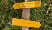 Trail Walking La Palud-sur-Verdon - La palud sur Verdon - Photo 12