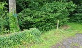 Percorso Marcia Limerzel - Limerzel - Sentier du Sillon - Photo 1