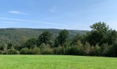 Excursión Senderismo Ferrières - Lorce boucle  - Photo 6