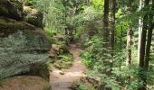Tour Wandern Ottrott - RDPR Mont St Odile 250527 apm - Photo 3