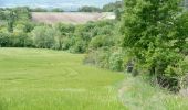 Tour Wandern Puy-Saint-Martin - La Montagne de Ste-Euphémie - Puy-St-Martin - Manas - Photo 8