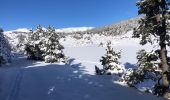 Excursión Raquetas de nieve La Llagonne - 20230224 pla avellans raquettes  - Photo 3