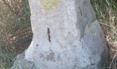 Randonnée Marche Capestang - CC_Piemont_AB_02_Capestang_Bize-Minervois_20240612 - Photo 2
