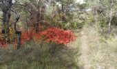 Trail Walking Mirabel-et-Blacons - mirabelle armurier - Photo 1