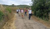 Trail Walking Neffiès - randonnée à Neffies - Photo 1