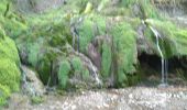 Trail Walking Orgeans-Blanchefontaine - Orgeans Rocher du Boubet et Grottes de Waroly (IBP 89 ) 26 avril 2021 CAF - Photo 6