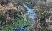 Tocht Stappen Lierneux - lierneux . promenade aérienne dans la vallee de la lienne - Photo 6