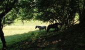 Trail Walking Arâches-la-Frasse - randonnée en forêt, les Carroz, Araches, la Frasse - Photo 18