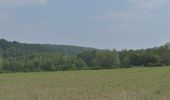 Tour Wandern Bleiberg - 20200527 - Hombourg 11 Km - Photo 15