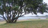 Tour Wandern Arzon - Port Navallo - Photo 7