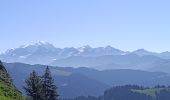 Tour Wandern La Giettaz - Rando Marmotte  - Photo 1