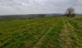 Tour Wandern Havelange - Gros Chêne - Photo 4