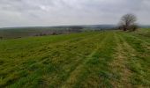 Randonnée Marche Havelange - Gros Chêne - Photo 4