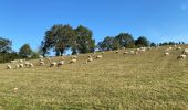 Tocht Stappen Susmiou - GR 65 Navarrenx > Lichos - Photo 17