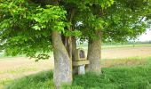 Tour Wandern Walcourt - Walcourt 230523 - Photo 12