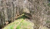 Trail Walking Lullin - Le Mont Forchat au départ du col des Arses - Photo 2