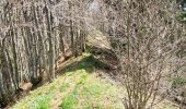 Trail Walking Lullin - Le Mont Forchat au départ du col des Arses - Photo 2