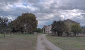 Tour Wandern Argelès-sur-Mer - réserve du mas Larrieu de part et d autre du Tech - Photo 5