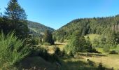 Randonnée Marche Xonrupt-Longemer - randonnée sur 2 jours des 5 lacs dans les Vosges ( longemer, blanchemer, lispach, Retournemer, de la lande) - Photo 6