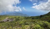 Tocht Stappen Saint-Claude - La Soufrière (retour) - Photo 5