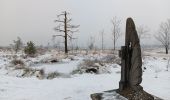 Trail Walking Spa - entre fagne et bois - version courte - Photo 12