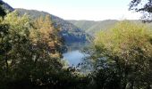 Excursión Senderismo Marcillac-la-Croisille - Le jardin de Bardot - Photo 2