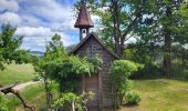 Tour Wandern Hinterzarten - Hinterzarten - Mathisleweiher - Photo 3