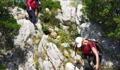 Excursión Senderismo Le Revest-les-Eaux - Habitat préhistorique - Photo 18