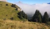 Tocht Stappen Poligny - Col de Chétive /Cime du Chamois.  - Photo 9